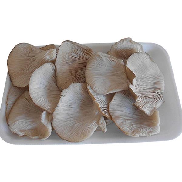 Girgola Bandeja